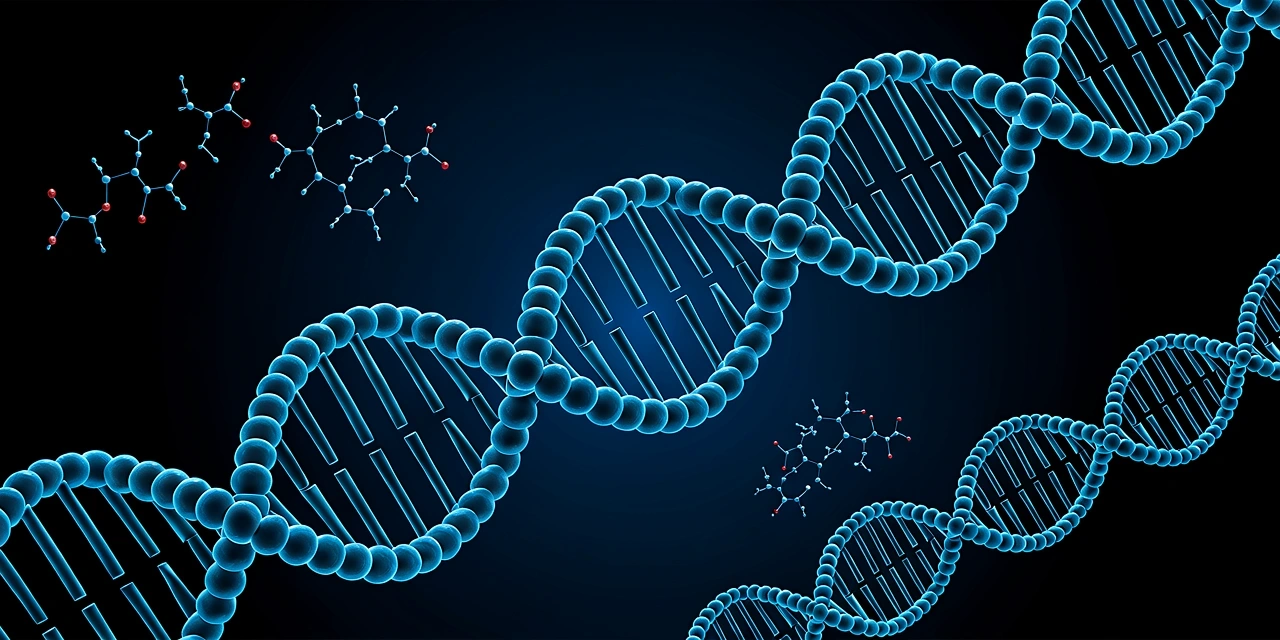 Molecular nutrition foundation